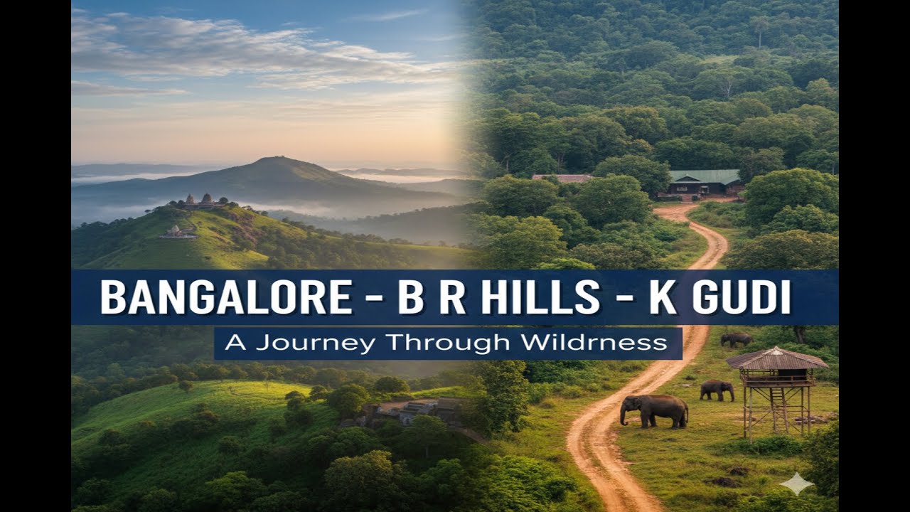 The Wild Heart of Karnataka: K Gudi-B R Hills Road Trip| B R Hills|K Gudi|Biligiri Rangaswamy Temple