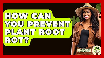 How Can You Prevent Plant Root Rot? - The Plant Enthusiast