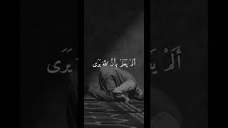 سورة العلق تلاوة هادئة بصوت علي جابر .