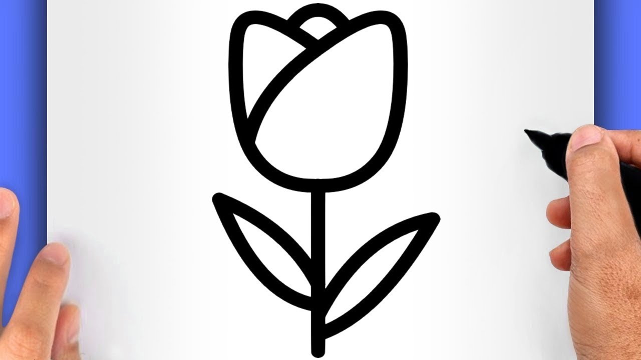 CÓMO DIBUJAR UNA ROSA (FÁCIL PASO A PASO) | DIBUJOS DE FLORES