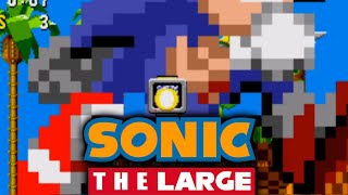 Sonic 1 but very LARGE