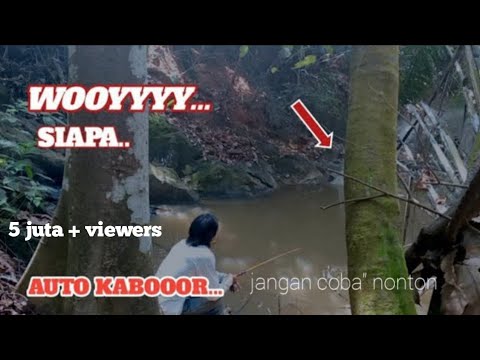 Video: Di Mana Anda Boleh Pergi Memancing Di Pinggir Bandar