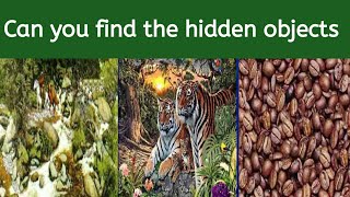 Find all hidden objects in these pictures | All find hidden objects