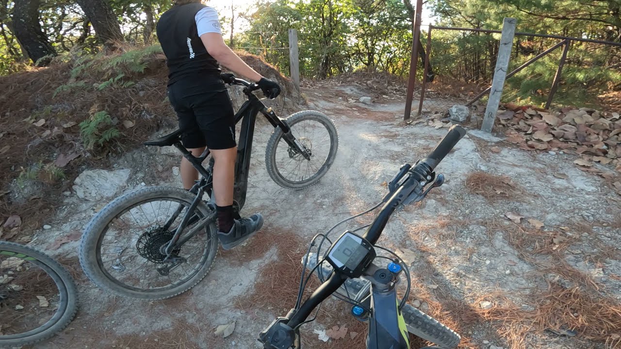 Espinazo del diablo Bosque de la primavera