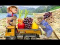 Bim Bim and his wife harvest fruit to make juice