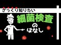 ざっくり知りたい細菌検査