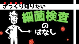 ざっくり知りたい細菌検査