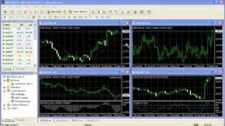 Metatrader Forex Trading - Buying and Selling Tutorial