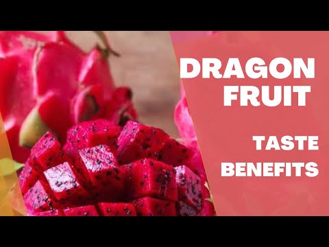 Dragon Fruit cutting Taste and benefits In Urdu and Hindi @Beautyclaps