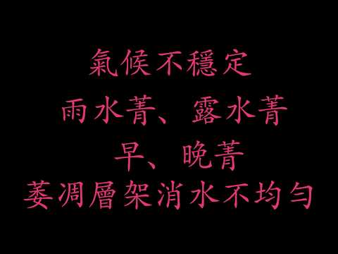 利展豐製茶  專利導流系統說明