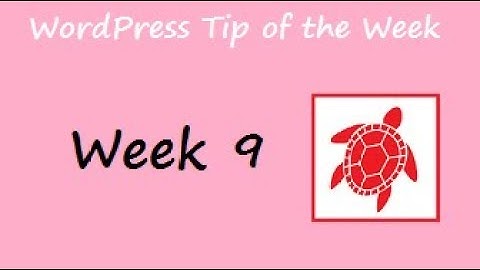 WordPress Tip of the Week - Week 9 - Displaying the Current User Name and User ID in a Template