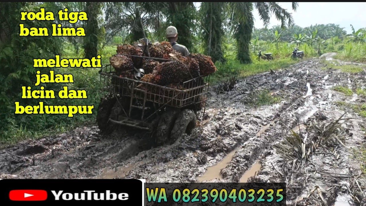 roda tiga melewati jalan gambut berlumpur