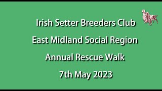 East Midland Social Region of The ISBC, Annual Rescue Walk Held on 7th May 2023 by Irish Setters UK & Ireland 180 views 10 months ago 1 minute, 47 seconds