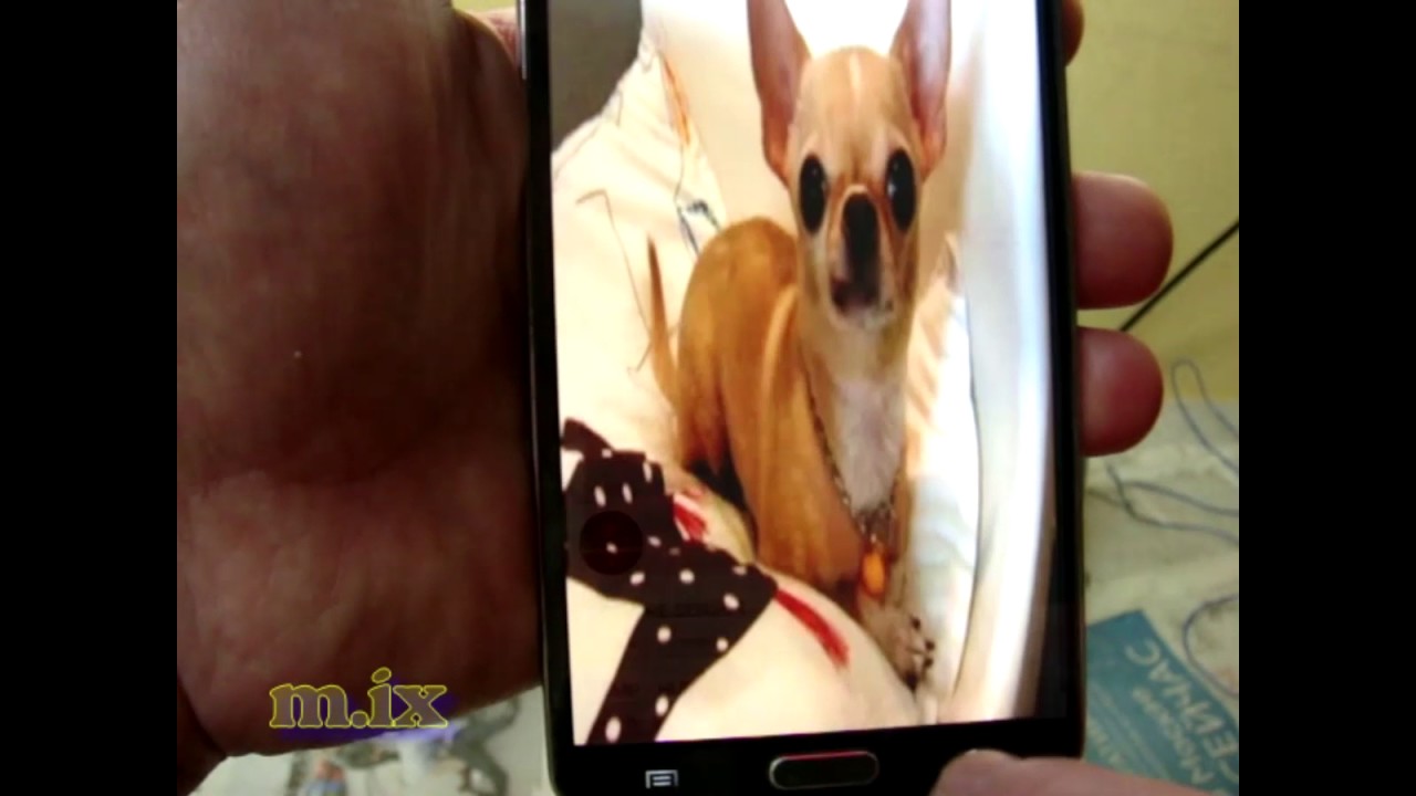 Samsung NOTE 3 SM N9002 dual sim Отвалились все датчики