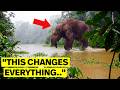 Wildlife Team Refused To Enter Congo Again After Their Footage Caught An Unknown Forest Creature!