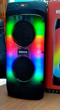 ZQS 4246 Party Light Speaker 4"×2 - YouTube