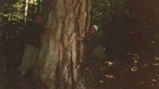 Av Resi̇mleri̇ - Iii