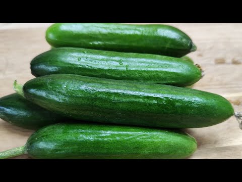 Video: Paglalarawan ng iba't ibang mga cucumber 