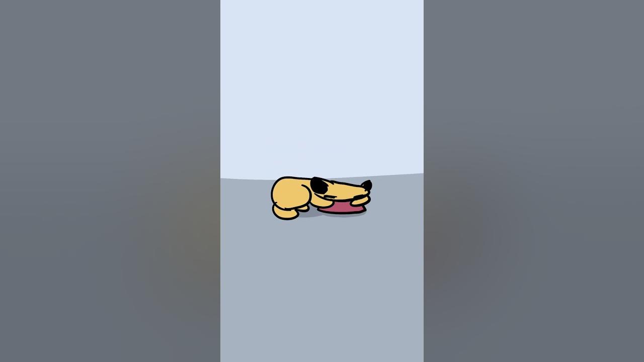 Cat does nom nom nom #animation #cat