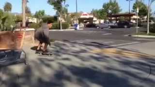 Spring skate edit 2015