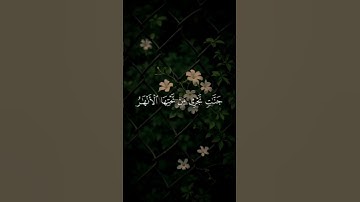 تلاوه من سورة التوبه|بصوت الشيخ محمد المنشاوي🎧♥️#trending #quran #قران_كريم #راحة_نفسية #قرآن