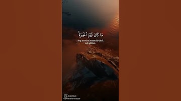 ارواع تلاوات قران#استمعوا_وانصتوا_لعلكم_ترحمون #المصحف #قرآن_كريم#فلسطين #غزة_تواجه_الإبادة