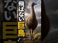 飛ぶことをやめた巨大鳥・モア|天敵が少ない島の絶滅動物 #絶滅動物 #古代生物 #雑学