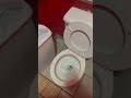 1970s AS Plebe Toilet at El Nuevo Amanecer Mexican Restaurant in Pasco WA 1411 N 4th Ave