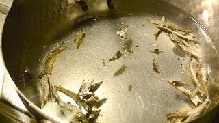 讃岐うどんレシピ 出汁