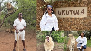 You will NOT believe, SOLO LION WALK || Our Unforgettable UKUTULA  🇿🇦 Experience, JOHANNESBURG  screenshot 5