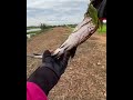 Amazing fishing style get a big fish 2 #catchingfish #fishlovers #fishingtechniques