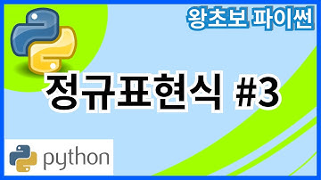 왕초보 파이썬(Python) 40. 정규표현식 #3