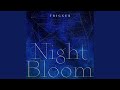 Night Bloomのサムネイル