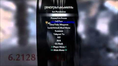 Motion Flex v2.1 Customized