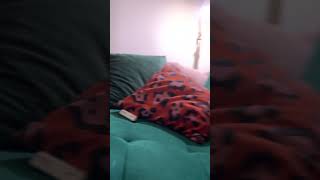 Sunny Side Up, Kids Songs Days Of The Week With Chica &