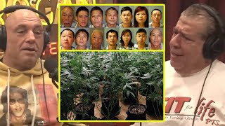 Large Scale Chinese Grow Ops In America | Joe Rogan \& Joey Diaz