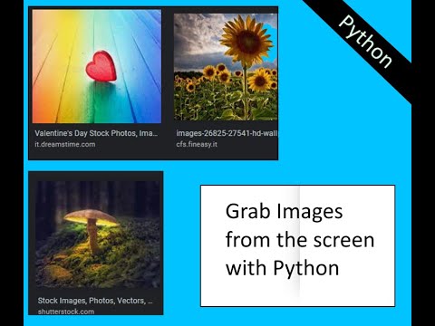How to capture a portion of the screen with python (new version)