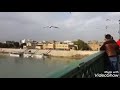 حاتم العراقي يا گلبي يا مسكين لايك و اشتراك حاتم العراقي يا گلبي يا مسكين لايك و اشتراك