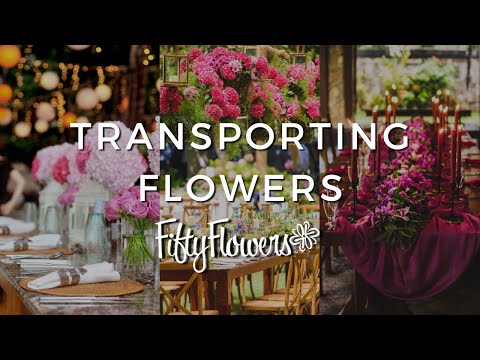 فيديو: كيفية نقل الزهور