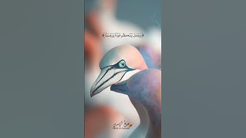 وجعل بينكم موده ورحمه حالات واتس اب دينيه دعاء قرآن كريم ستوريات دينية