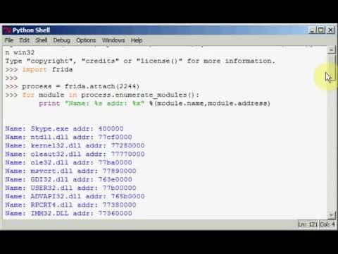 pyfrida on windows, attaching to skype