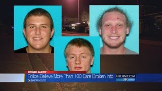 Celebrity Trio may be involved in 100+ thefts from vehicles Net Worth