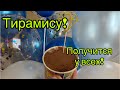 Рецепт Тирамису! Невероятно вкусно и просто! Получится у всех!