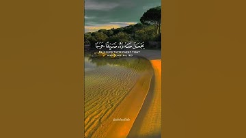 سورة الأنعام القارئ #ماهر_المعيقلي #فلسطين#السعودية#الجزائر#المغرب#مصر#تونس#ليبيا#موريتانيا#اكسبلور