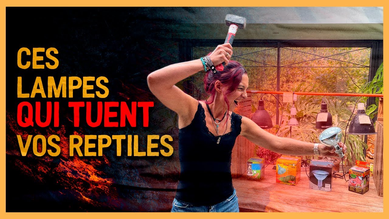 Ces lampes qui tuent vos reptiles
