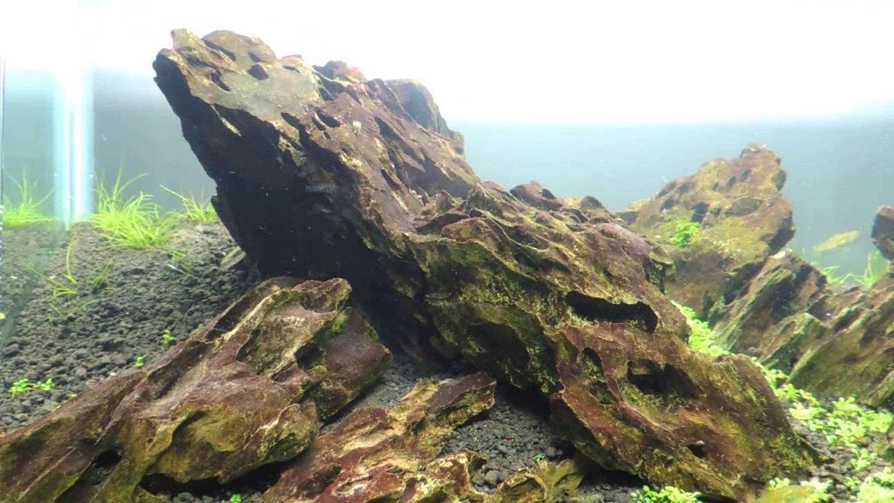 Iwagumi Parte 1 - YouTube