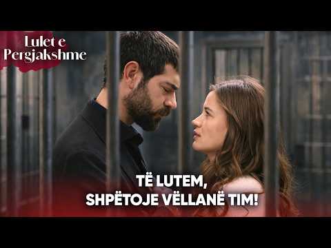 Dilani e nxori Baranin nga burgu 🔓❤️ | Me titra në shqip | Kan Cicekleri