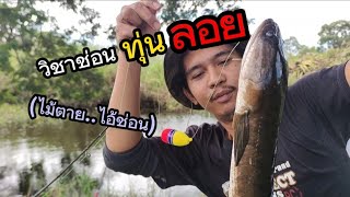 ❗ Must meet like this.. Snakehead fishing | Float | Live bait | Snakehead fishing