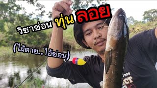 ❗ต้องเจอแบบนี้.. ตกปลาช่อน | ทุ่นลอย | เหยื่อสด | ตกปลาช่อนหน้าดิน | fishing sneakhead |ตกปลาหน้าดิน