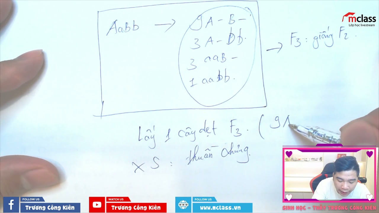 Tương Tác Gen - Vận Dụng